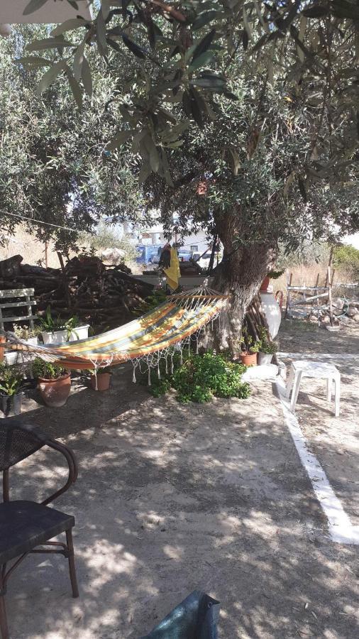 Villa Olive Trees Poros Town Exterior foto